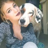 San Antonio, Texas Pet Sitting Professional, I have years of experience of basic grooming (ears, nails, glands, bathing)