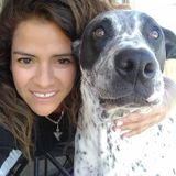 For Hire: Polite Pet Groomer in Scottsdale, Arizona