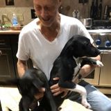 Dog and bird care; my home or yours.
