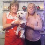 Experienced Irish elder care provided available from March