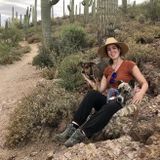 Trustworthy House Sitter in Tucson, Arizona