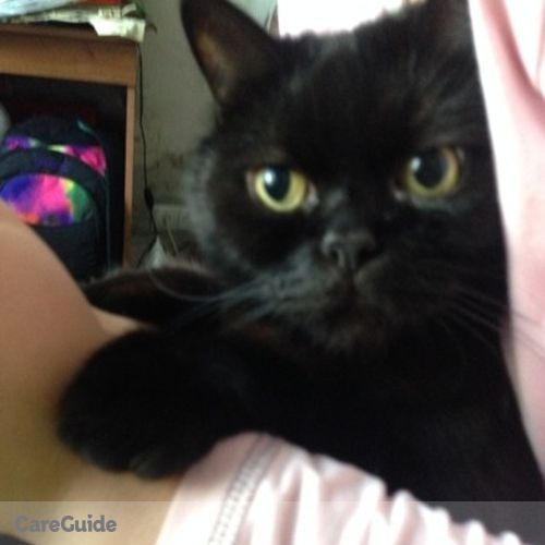 Elder Care Provider Yana P's Profile Picture