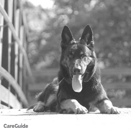 Pet Care Provider James Wesley's Profile Picture