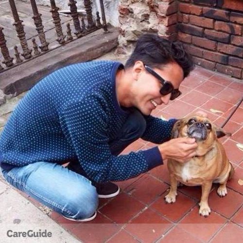 Pet Care Provider Akito H's Profile Picture