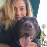Careful Dog Walker in Mill Valley