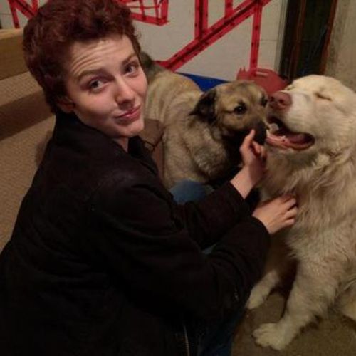 Pet Care Provider Bricklyn B's Profile Picture