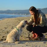 Let this UC Davis pre-veterinary student provide experienced and loving care for your pets! Any and all types of animals