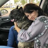 Beaumont / South Edmonton pet sitter