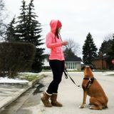 I am knowledgeable, responsible and loving caregiver with a love for all things furry & a passion for pet nutrition