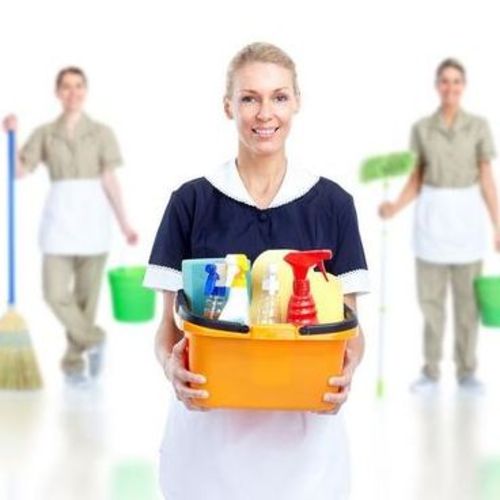 Housekeeper Provider Ewelina Bednarska's Profile Picture