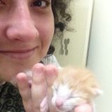 Reliable pet sitter in Gatineau