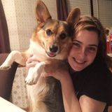 Peoria Dog Walker/Sitter Searching for Job Opportunities