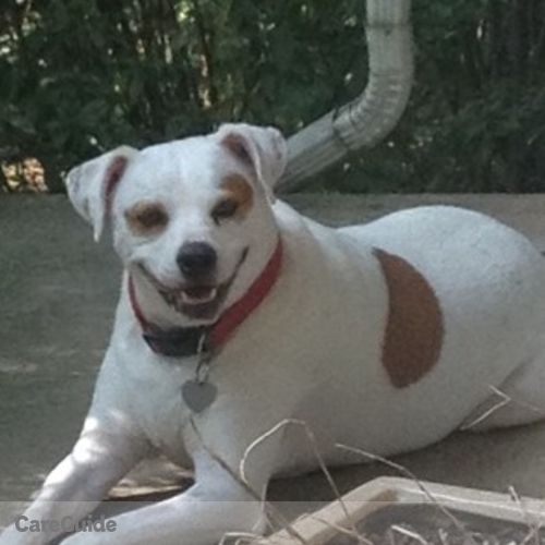 Pet Care Job Jessica G's Profile Picture