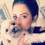 Looking to spoil your pets