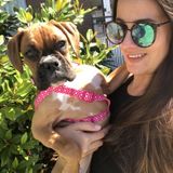 Pet lover and experienced pet care provider