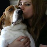 House Sitter in Ventura area/ Looking for work in Thousand Oaks or Westlake