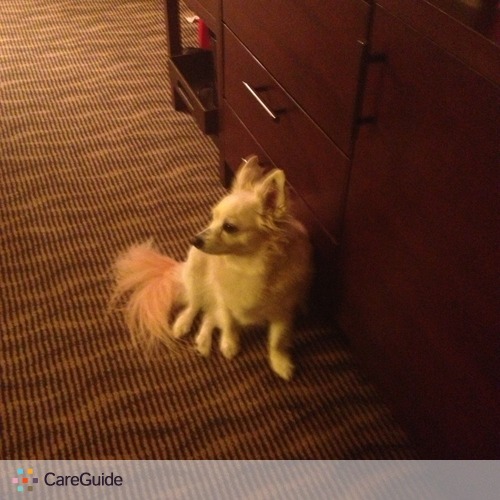 Pet Care Job Sherry P's Profile Picture