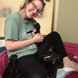 Caring Animal Caregiver Available Immediately