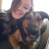 Available: Hardworking Dog Walker in Des Plaines, Illinois