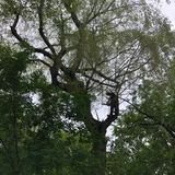 Gardening and Landscape Service