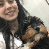 Loving Pet Sitter in Davie, Florida