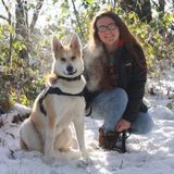 Independence Dog Sitter Searching for Being Hired in Oregon