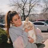 Reliable Home and Pet Sitter Available Immediately!