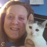 Animal Lover Pet Care