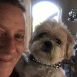 Your pets, your routine! Doggie/Kittie-Cat Day Care, Dog Walking, Overnight (In-YOUR-home care).