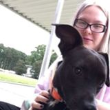 Hello, my name is Samantha. I offer pet sitting and dog walking services to people in/near Ahoskie, NC.
