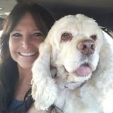 Professional Pet Sitting Services, House Sitting