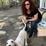 Aventura Animal Caregiver Interested In Being Hired in Florida