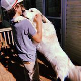 Williston Pet Supervisor Looking For Work