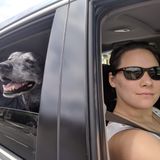 Available: Reliable House and Pet Sitter in Lisle, Naperville, Warrenville, and more!