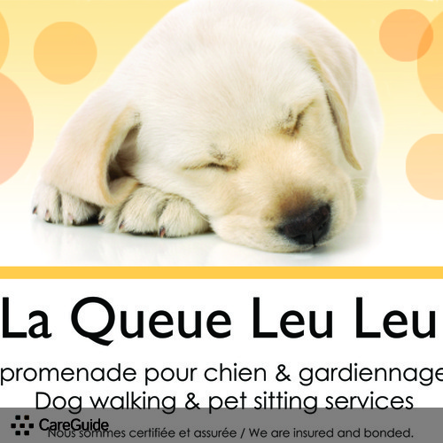 Pet Care Provider Amy-Jill D's Profile Picture