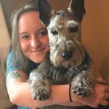 Cherry Hill Animal Lover Searching for Being Hired in New Jersey