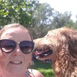 Oshawa Dog Walker Available in Oshawa/Whitby area, morning, afternoons or evenings