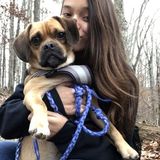 My name is Evelia Cardenas. I am 22 and I am looking forward to watching your pet for you. I am an animal lover!
