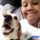 Richmond Petsitter Seeking Job Opportunities