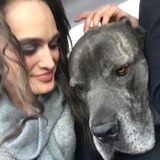 Skilled Pet Sitter in Vancouver