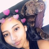 Angeliz