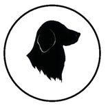 Professional Pet Care