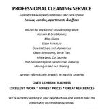 Excellent European cleaning service