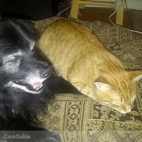 Pet Care Provider Anneliese P's Profile Picture