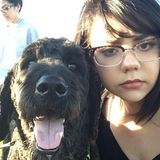 Mississauga Cat and Dog Sitter Available For Work
