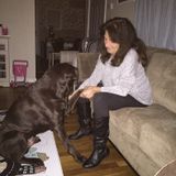 Interviewing For Animal Check In Jobs.