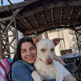 Whether your furry baby is hyper or lazy I'm the Lady for you !