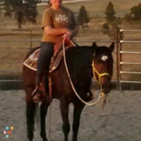 Hoofprints Horse and Pet Sitting