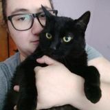 Elk Grove Pet Sitter Searching for Job Opportunities