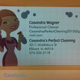 Professional Cleaner
